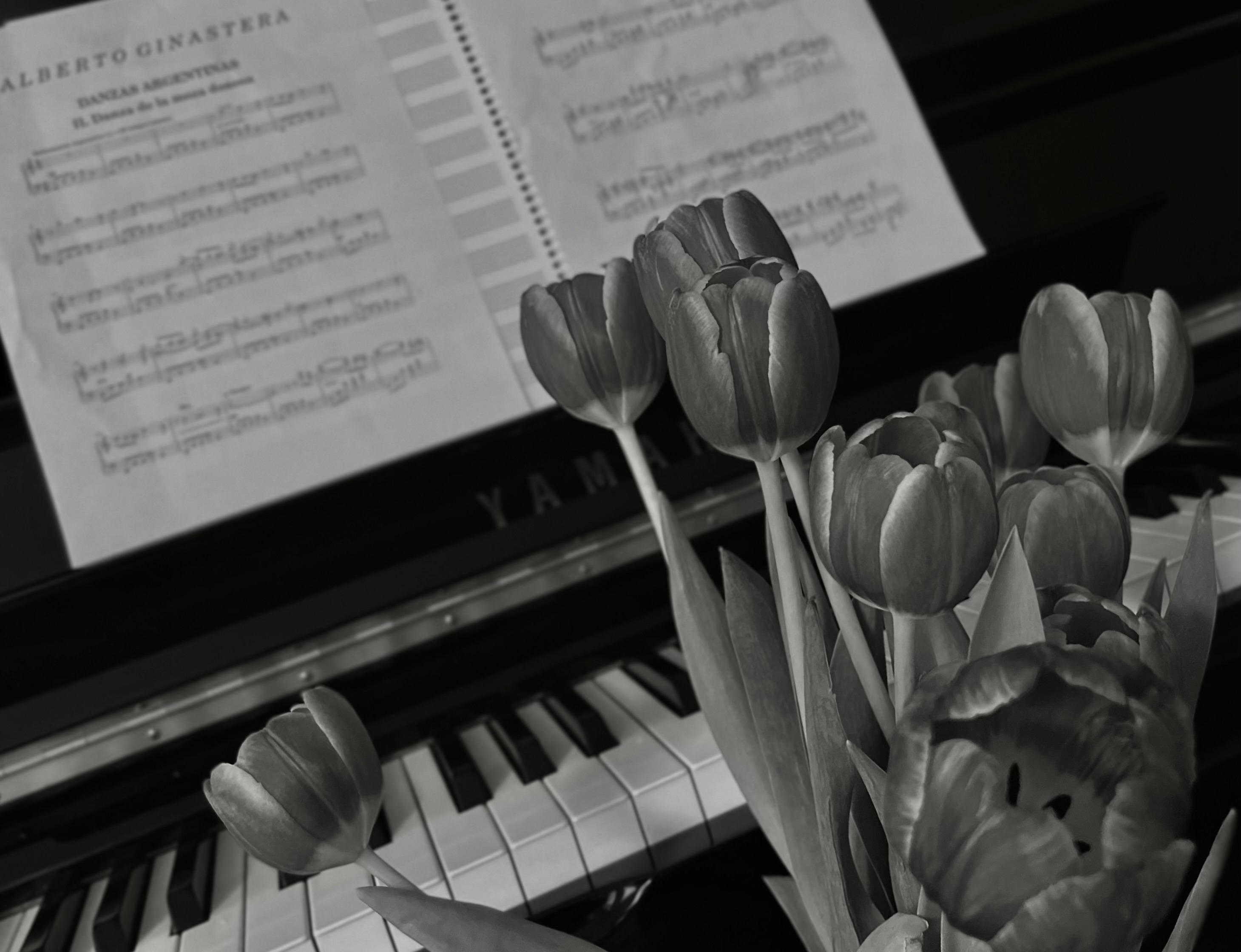 Music.